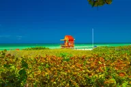 Miami Beach Art Deco & Hidden Gems Bike Tour thumbnail 3