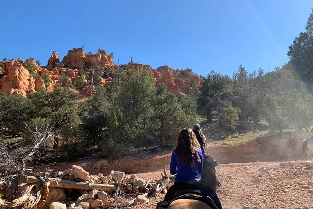 Utah Horseback Ride Half Day - Image 2