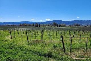 Sonoma and Napa Private Champagne and Wine Tour