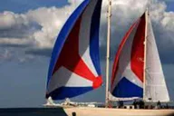 New York City Tall Ships Parade of Sail Cruise thumbnail 6