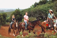 Oahu Horseback Ride at Sunset thumbnail 1