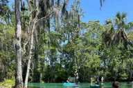Crystal River Kayak with Manatee Viewing at Sunset thumbnail 6