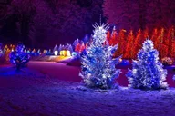 Washington, DC Winter City Lights Experience thumbnail 5
