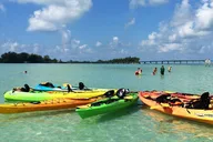 Sarasota Bay Kayaking with Coastal Wildlife thumbnail 2