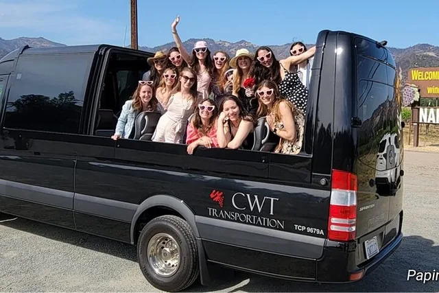 Napa Valley Winery Open Air Tour - Image 3