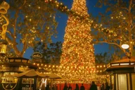 Los Angeles Holiday Lights Tour with LACMA Stop thumbnail 1