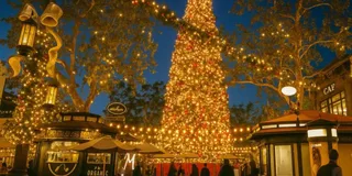 Los Angeles Holiday Lights Tour with LACMA Stop