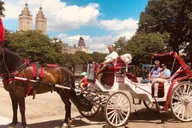 New York City Horse Carriage Ride in Central Park thumbnail 5