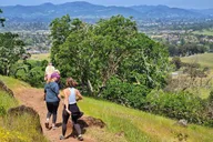 Napa Valley Redwood Hike thumbnail 4