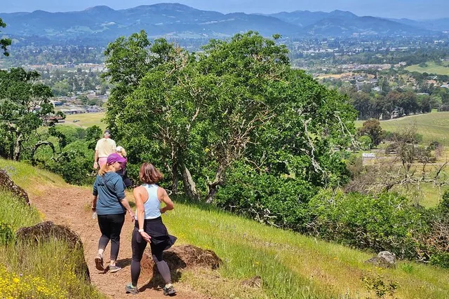 Napa Valley Redwood Hike - Image 4