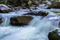 Pigeon Forge Smoky Mountains Jeep Tour thumbnail 2