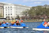 Washington DC Tidal Basin Pedal Boat Rental thumbnail 4