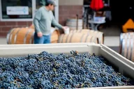 Woodinville Artisan Hill Wine Pass thumbnail 1
