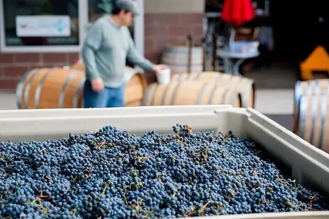 Woodinville Artisan Hill Wine Pass - Image 1
