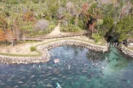 Crystal River Manatee Kayak Tour with Free Photos thumbnail 4