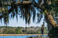 Charleston Magnolia Plantation Tour with Transport thumbnail 2