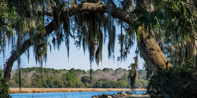 Charleston Magnolia Plantation Tour with Transport - Image 2