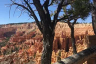 Bryce Canyon E-bike Tour thumbnail 6