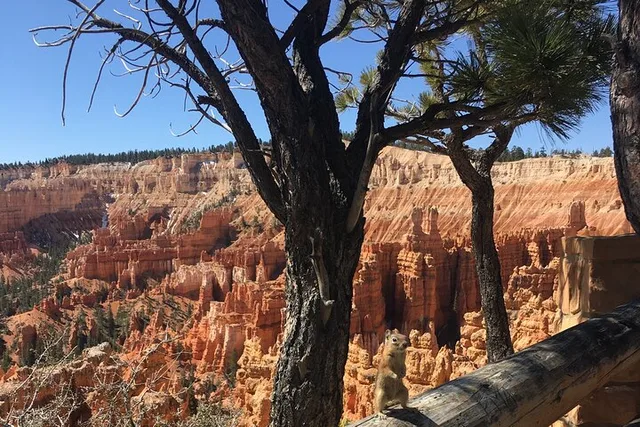 Bryce Canyon E-bike Tour - Image 6