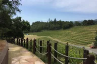 San Francisco Napa Valley Private Wine Tour 8 hr thumbnail 6