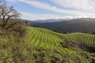 Calaveras and Tuolumne Wine Tasting Pass thumbnail 2