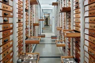 Chicago Field Museum Early Access Tour thumbnail 6