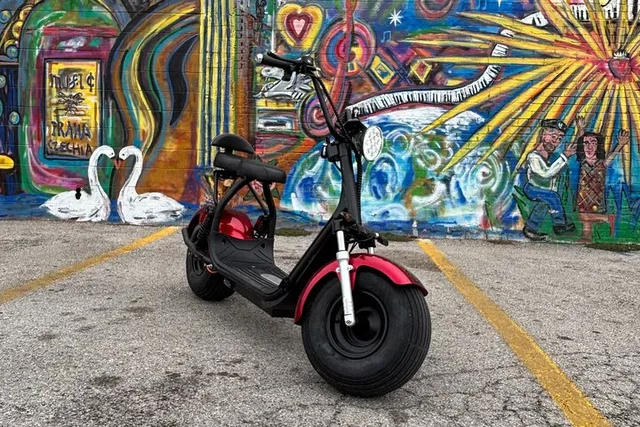 Dallas Fat Tire 2-Seater Rental - Image 2