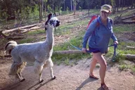 Rocky Mountains Llama Hike thumbnail 5
