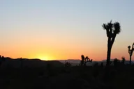 Las Vegas Death Valley Sunset and Stargazing Tour thumbnail 1