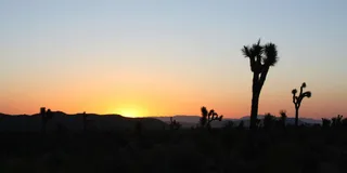 Las Vegas Death Valley Sunset and Stargazing Tour