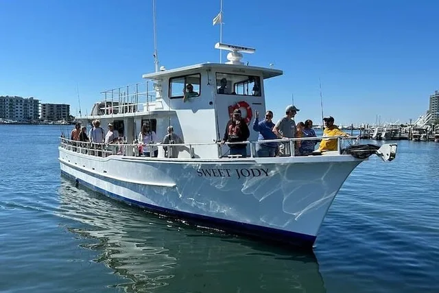 Destin Dolphin Watching Adventure - Image 5