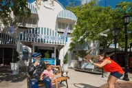 Key West Aquarium Tour thumbnail 2