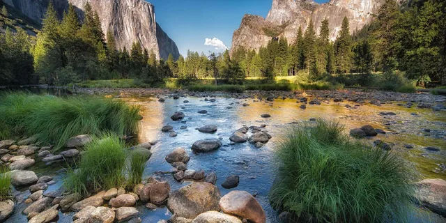 San Francisco Yosemite National Park Day Trip - Image 3