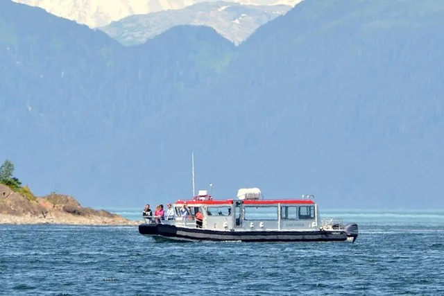 Icy Strait Whale Watching Adventure 3 hr - Image 2