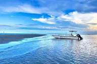 Savannah Dolphin Eco Tour thumbnail 1