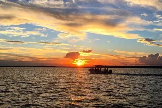 Savannah Dolphin Eco Tour at Sunset