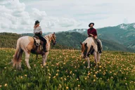 Jackson Horseback Tour with Lunch 4.5 hr thumbnail 5
