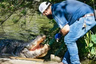 Orlando Gatorland Skip-the-Line Ticket thumbnail 2