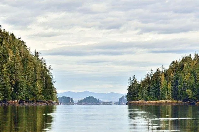 Sitka Sea Kayaking Adventure - Image 2