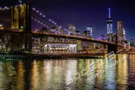 New York Night View Tour with Japanese Guide thumbnail 2