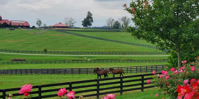 Lexington Horse Farm Tour with Insider Access - Image 1