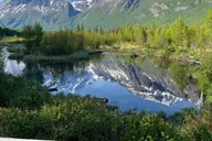 Anchorage Valley and Forest Hike with Naturalist Guide thumbnail 1