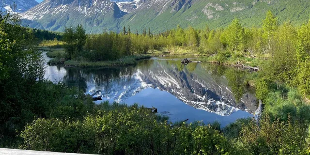 Anchorage Valley and Forest Hike with Naturalist Guide - Image 1