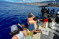 Maui Whale Watching Tour at Midday thumbnail 3