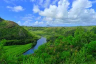 Kauai Waimea Canyon & Wailua River Day Trip thumbnail 5