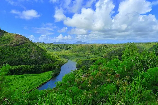 Kauai Waimea Canyon & Wailua River Day Trip - Image 5