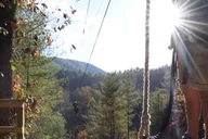 Sevierville Mountain Zip Lining Adventure thumbnail 5