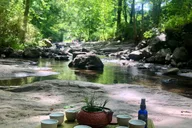 Asheville Forest Bathing & Nature Therapy 3 hr thumbnail 3