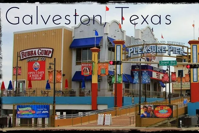 Houston Sightseeing and Galveston Day Trip - Image 4