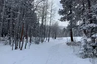 Denver Snowshoeing Adventure in the Rocky Mountains thumbnail 6